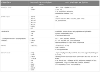 Recent advances in understanding DNA methylation of prostate cancer